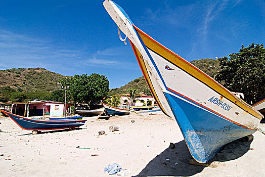 捕鱼,船,曼萨尼约,岛屿,玛格丽塔酒,委内瑞拉,南美