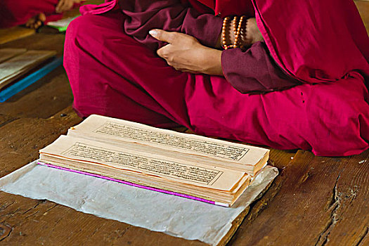 年轻,僧侣,学习,普那卡,地区,不丹