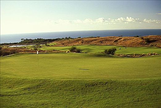 夏威夷,哈普纳,王子,高尔夫球场,绿色