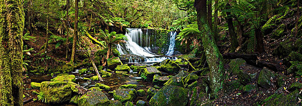 马蹄铁瀑布,土地,国家公园,塔斯马尼亚,澳大利亚