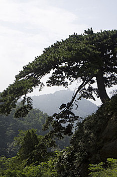 山东泰山风光