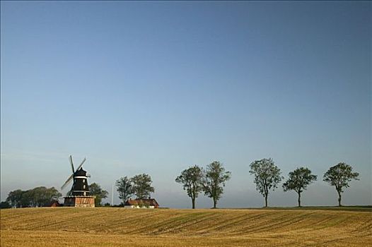 风车,树,地点,瑞典