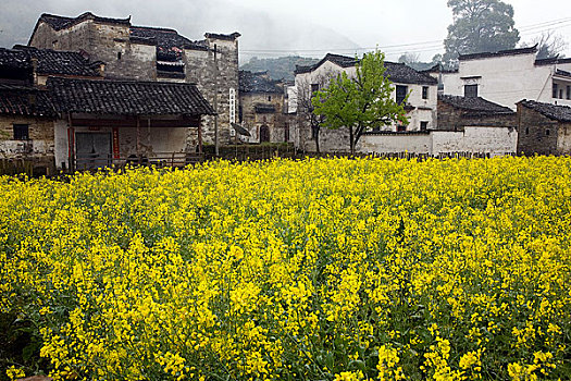 江西婺源,庆源