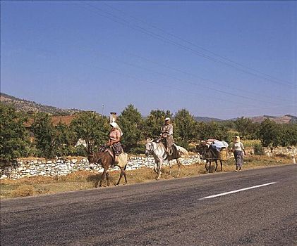 女人,围巾,马,驴,骡子,骑,乡间小路,土耳其,欧洲
