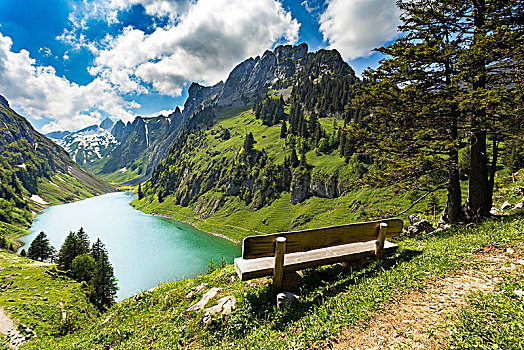 长椅,风景,阿彭策尔,瑞士,欧洲