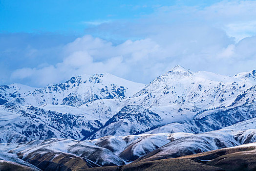 新疆北疆草原上的雪山
