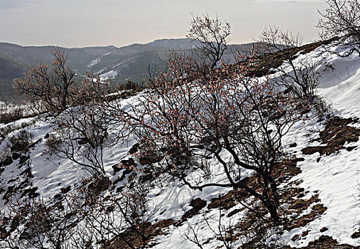 内蒙古风景