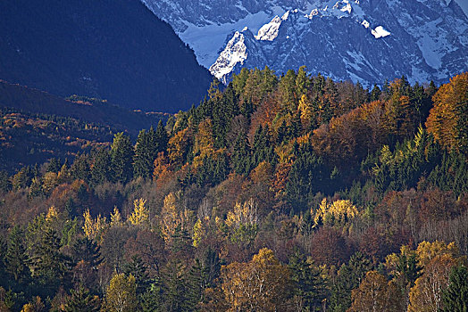 风景,上方,哥尼斯堡,岩石上,山脉,秋天,上巴伐利亚,德国南部,德国