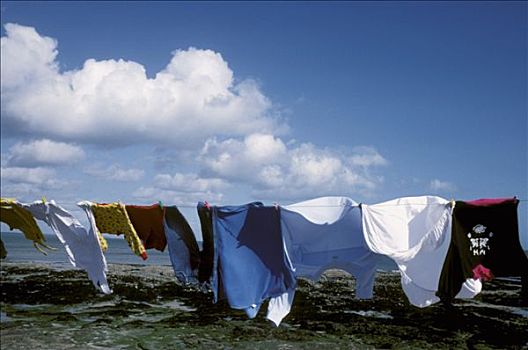 法国,岛屿,洗衣服,悬挂