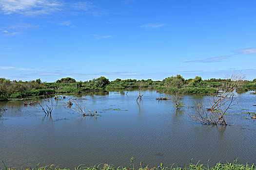 千鸟湖湿地