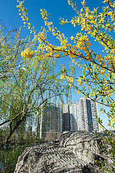 宜居家园北京天通苑