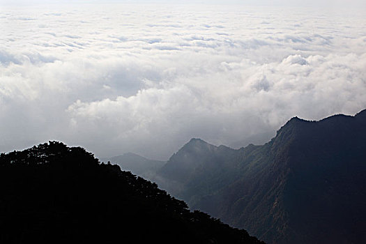 山,云海,雾