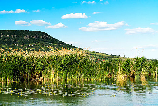 风景,巴拉顿湖,匈牙利