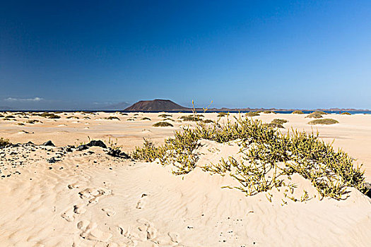 沙丘,海滩,岛屿,远景,科拉莱霍,富埃特文图拉岛,加纳利群岛,西班牙