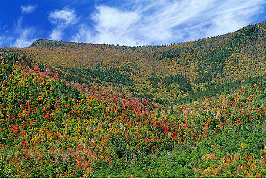 山,荒野,阿迪朗达克州立公园,纽约,美国