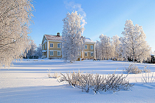房子,冬天