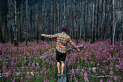 后视图,中年,男人,平衡性,秋天,树,地点,野花,冰碛湖,班芙国家公园,艾伯塔省,加拿大