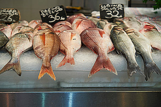 鱼肉,马略卡岛,西班牙
