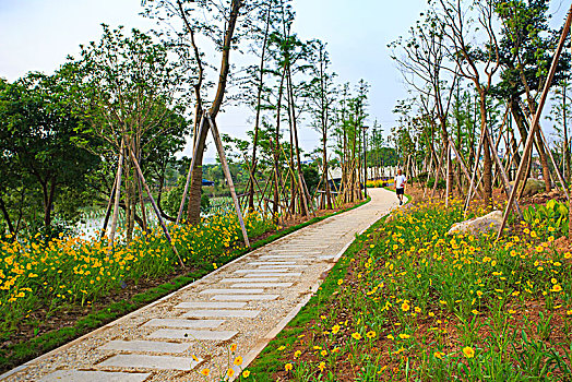 草地,道路,花木,绿色