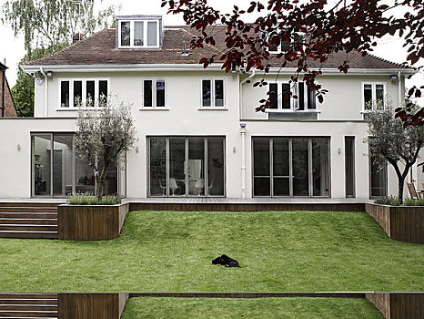 住宅,伦敦,2009年,全景,房子,花园