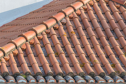 葡萄牙,里斯本,红色,瓷砖,屋顶