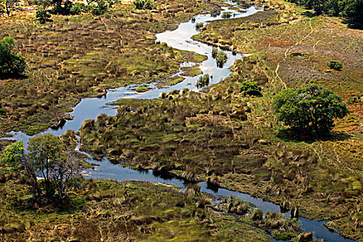 博茨瓦纳,奥卡万戈三角洲,奥卡万戈河,支流,风景