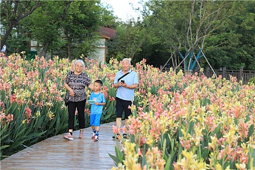 山东省日照市,湿地公园鲜花怒放,市民前来打卡络绎不绝