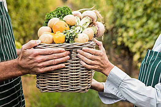 农民,情侣,拿着,篮子,蔬菜,特写