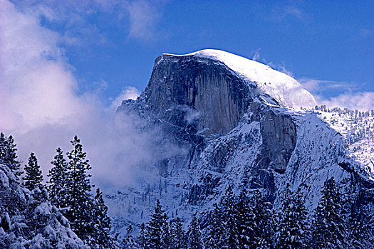 清新,粉末,半圆顶,暴风雪,优胜美地国家公园,加利福尼亚