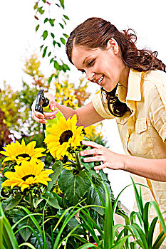 园艺,女人,泼洒,水,花