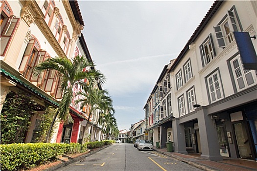 新加坡,保存,历史,房子