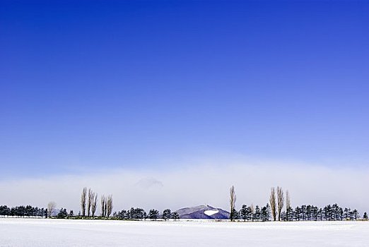 晴朗,冬天,白色,山