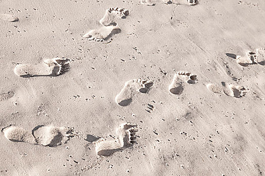 脚印,白色,沿岸,沙子,海滩