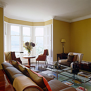 现代,起居室,一对,皮革,椅子,凸窗