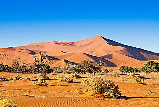 沙丘,索苏维来地区,纳米布沙漠,纳米比诺克陆夫国家公园,纳米比亚