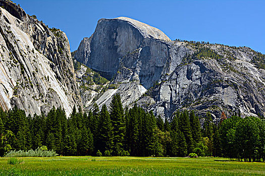 半圆顶,山谷,地面,草地,优胜美地国家公园,加利福尼亚,美国
