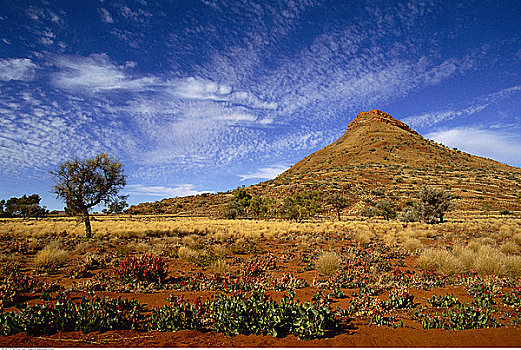 风景,北领地州,澳大利亚