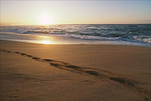 夏威夷,瓦胡岛,日落海滩,孤单,脚印,沙滩,温和,潮汐,泡沫,水