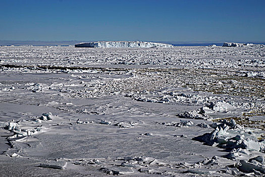 海冰,威德尔海,南极半岛,南极