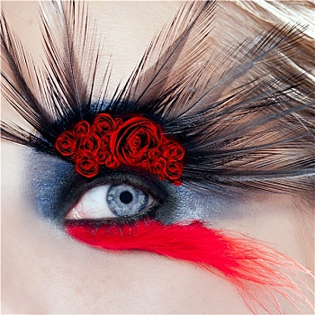 黑色,鸟,女人,眼部化妆,微距,红玫瑰