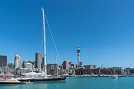 帆船,高架桥,奥克兰,中央商务区,背景,城市,区域,北岛,新西兰