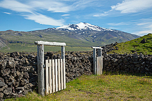 冰岛,火山,斯奈山半岛,绵羊,脱落,石墙,木质,大门,好天气