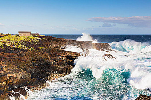 波浪,岩石海岸,加纳利群岛,西班牙