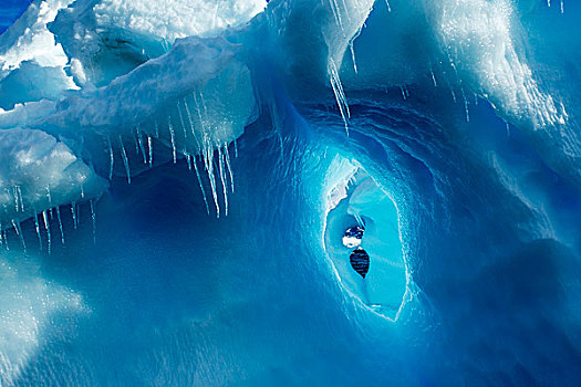 南极,冰柱,悬挂,冰山,靠近,岛屿,湾,南极半岛