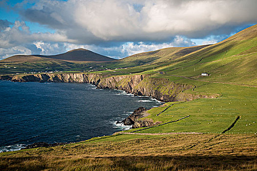 风景,西海岸,丁格尔半岛,凯瑞郡,爱尔兰