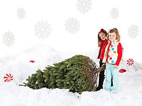 两个女孩,4-5岁,6-7岁,拉拽,圣诞树