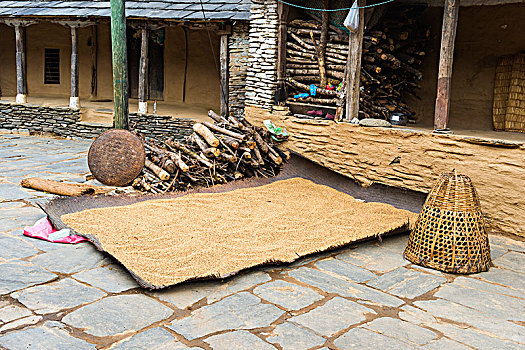 稻米,弄干,地上,山村,尼泊尔,亚洲