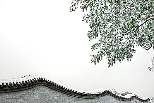 北京胡同,院墙