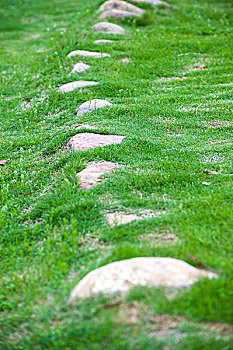 照片,石头,绿色,草地