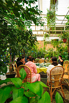 餐厅,绿色,生态